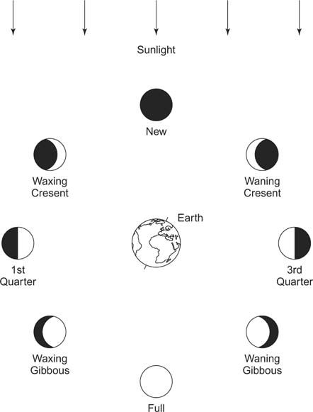 Phases of the Moon